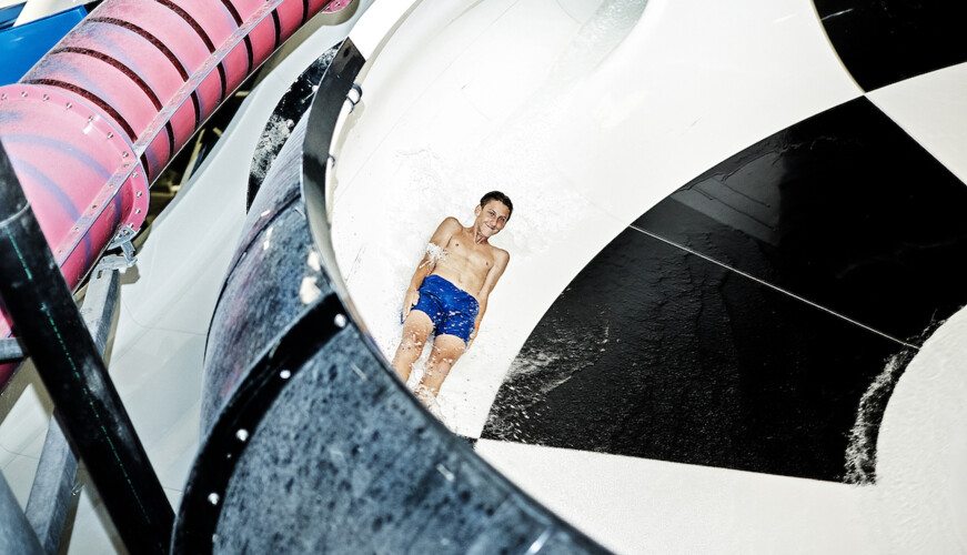 Shark