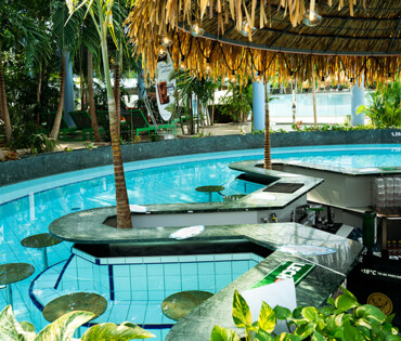 Pool with bar
